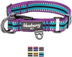 Blueberry Pet 3m Reflective Multi Colored Stripe Dog Collar Violet Celeste Small