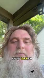 Blue Jays Fighting Crows