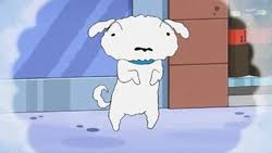 Shiro