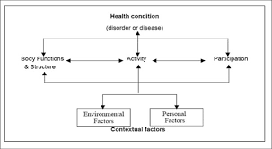 Aphasia Assessment And The Icf Aphasia Pathway