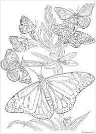 There are tons of great resources for free printable color pages online. Butterfly Mandala 5 Coloring Pages Mandala Coloring Pages Coloring Pages For Kids And Adults