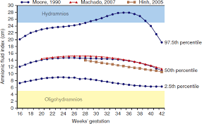 Amnionic Fluid Williams Obstetrics 24e Accessmedicine