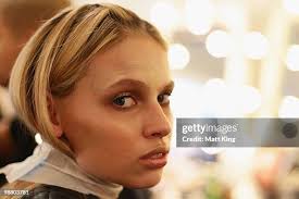 479 Ginger King Stock Photos, High-Res Pictures, and Images