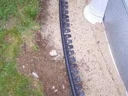 Pin On Pool Area Landscaping