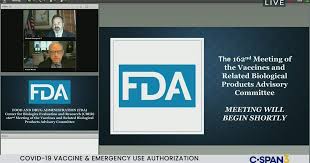 Fda Meeting On Covid 19 Vaccine And Emergency Use Authorization Part 1 C Span Org