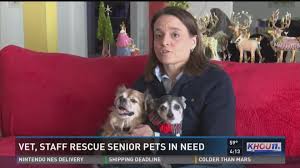 Euthanasia of pets with aggression or behavior issues will incur an additional fee and are on a case by case basis. Houston Vet Rescues 3 Senior Pets Doomed For Death Khou Com