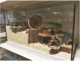 Hamsterscaping Cage Is Way Too Small Regardless Of Hamster Species But Good Rodents Animals Cage G Cool Hamster Cages Hamster Diy Cage Hamster Species