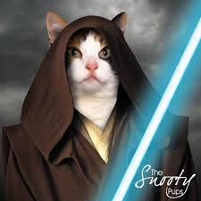 Cat Portrait Star Wars Obi Wan Pet Portraits Custom Cat Etsy Custom Cat Portrait Cat Portraits Pet Portraits