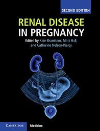 Renal vascular disease affects the blood flow into and out of the kidneys. Renal Disease In Pregnancy Kindle Edition By Bramham Kate Bramham Kate Hall Matt Nelson Piercy Catherine Professional Technical Kindle Ebooks Amazon Com