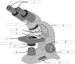 An introduction to the compound microscope objective: How To Draw A Compound Microscope Easy Drawing Tutorial Easy