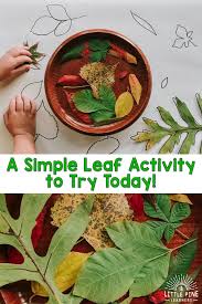 A Simple Leaf Activity To Try Today Little Pine Learners