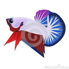 Betta Fancy Logo Vector Design Cartoon Mascot Logo Design Di 2020 Seni Tato Seni Ikan Cupang