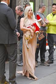 5 arrests made in lady gaga dogwalker's shooting & dog abduction. Lady Gaga Dogs Stolen After Her Dog Walker Was Shot Report Hollywood Life