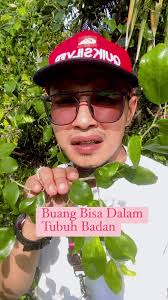 Bismillah..Asalammualaikum.. #cucuadam #reelsviral #petuacucuadam