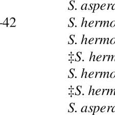 Image result for Striga hallaei