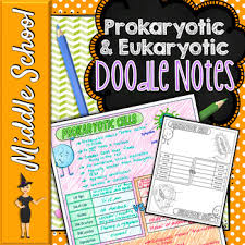 The plant cell doodle notes. Cell Doodle Notes Worksheets Teaching Resources Tpt