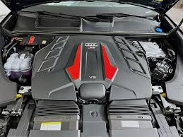 Image result for Waitomo Blue 2025 RS