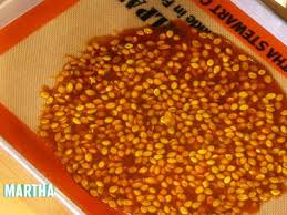 Pumpkin Seed Brittle Recipe Cooking How To Martha Stewart Recipes Pumpkin Seeds Pumpkin Seed Brittle Recipe Brittle Recipes