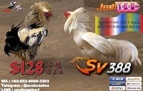 Pin Di Laga Ayam