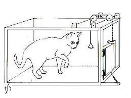 We did not find results for: Edward Lee Thorndike Theory Of Learning Edugyan A Platform For Learning