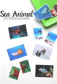 15% off with code zazpartyplan. Under The Sea Theme Printable Puzzles For Preschool No Time For Flash Cards
