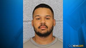 Video: Man charged after allegedly seen beating dog in Plaza Midwood