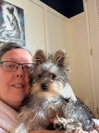 Does my yorkie look cute after grooming?