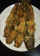 ~ langkah awal panaskan minyak goreng, lalu goreng telur ayam sampai kuning kecokelatan. 311 Resep Lele Masakan Padang Enak Dan Sederhana Ala Rumahan Cookpad