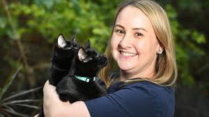 Tropical QLD Cat Clinic rehoming twin, blind kittens