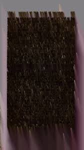 Journals of the Senate and House of Commons of the General Assembly of  North-Carolina at its session in ... [serial]