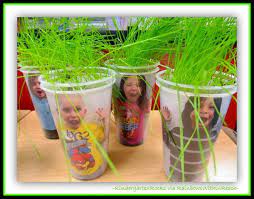 Science Growing Grass Seed For Photo Hair Growing Grass Plant Activities Spring Lessons