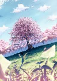 Do you think that they're necessary in every anime or just to fit the theme? 29 Beautiful Sakura Ideas Anime Scenery Anime Background Scenery