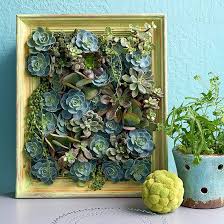 These Amazing Outdoor Diy Projects Take Just 30 Minutes Or Less Vertikale Sukkulenten Garten Sukkulenten Diy Pflanzen