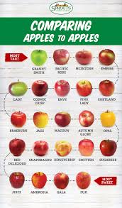 The Great Apple Harvest Best Apple Recipes Apple Recipes Food