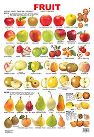 Amazon Com Fruit Chart 1 Ebook Dreamland Publications