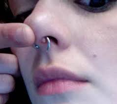 Nose Piercing Bump 6 Causes And How To Treat Them Authoritytattoo In 2021 Septum Piercing Piercing Bump Nose Piercing