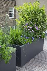 Sidehouse Westbourne Park Emma Griffin Garden Design Design Emma Garden Griffin Park Sidehouse Westb In 2020 Modern Garden Design Modern Garden Garden Design