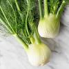 Jicama, fingerlings, and fennel salad. 1
