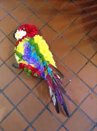 Parrot Tribute By Flowers By Lynda Floral Art Florist Design Funeral Tributes