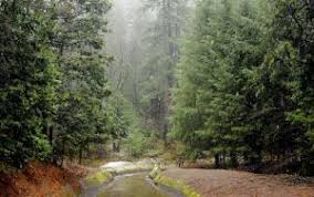 Preview Wallpaper Rain Wood River Bad Weather Wood River Rain Wallpapers Landscape