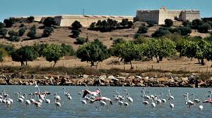 Castro marim is a freguesia in castro marim municipality. Castro Marim Www Visitportugal Com