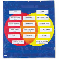 learning resources graphic organizer pocket chart