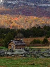 Premium cabin options from local hosts. Pin By Typeia On Kansas House In Nature Old Cabins Cabins In The Woods