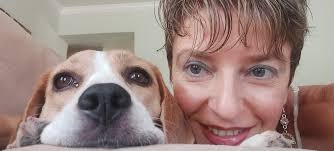 Dogs can hear 4 times louder than humans, which makes it even more  impressive how effortlessly they manage to ignore you when you call them  🫣😅