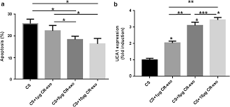 Töten sie einen gegner mit der letzten kugel in ihrem magazin (ausgenommen scharfschützengewehre und zeus x27). Predictive Role Of Uca1 Containing Exosomes In Cetuximab Resistant Colorectal Cancer Cancer Cell International Full Text