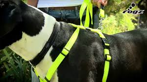 How To Fit A Rogz Harness Rogz