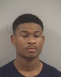 Johnston County, NC Arrests