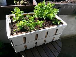Blumenkasten Aus Apfelkiste Rezept Apfelkiste Blumenkasten Kiste