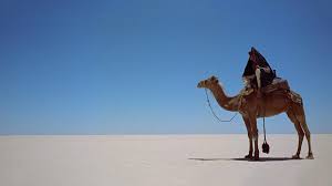 Winner of seven academy awards(r), including best picture (1962), this is the restored director's cut of the breathtaking masterpiece. Lawrence Of Arabia 1920x1080 R Wallpapers Lawrence Of Arabia Movie Scenes Film Stills