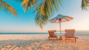 Vacation In Tropical Countries Beach Chairs Umbrella And Palm Trees Summer Beach Pictures Island Vacation Tropical Beach